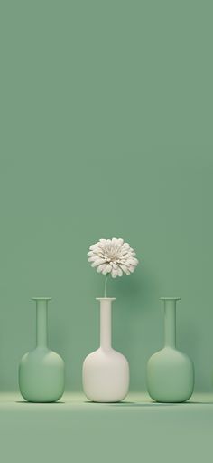 four vases with flowers in them on a green surface against a mint colored wall