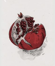 a drawing of pomegranates in a bowl on top of a table