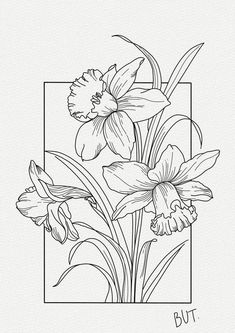 a black and white drawing of daffodils in a square with the words but