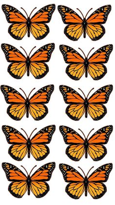 six orange butterflies with black spots on them, all facing different directions to the same direction