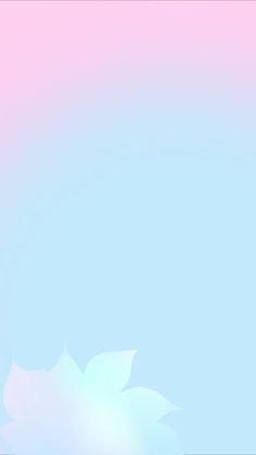 a pink and blue background with a white flower on the left side, and a light blue back ground