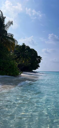 the water is crystal blue and there are palm trees on the beach in the background