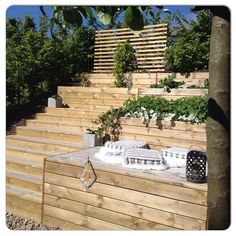 a wooden bench sitting on top of a lush green hillside next to a tree filled forest