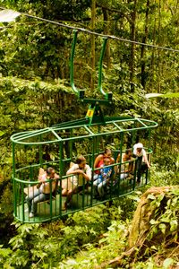 people are riding on a cable car in the forest