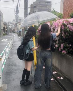 two people standing under an umbrella in the rain on a city street with pink flowers