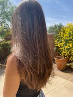 Layered Hair On Straight Hair, Haircut Inspo Long Straight, Layers In Brown Hair, Long Layers On Brown Hair, Long Brown Hair With Long Layers, Haircut Inspo Brunette, Long Brunette Layers, Simple Layers For Long Hair, Light Long Layers