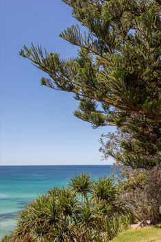 a bench sitting on the side of a lush green hillside next to the ocean under a blue sky