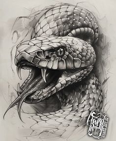 a drawing of a snake with its mouth open