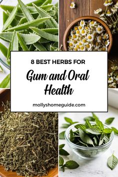 Discover the power of medicinal herbs and essential oils for gum and oral infections. Learn how to naturally address gingivitis, swollen gums, mouth sores, and more. From using oil pulling techniques to exploring home remedies for gum disease, there are plenty of ways to boost your oral health. Combat gum recession and periodontitis with the help of natural remedies that can soothe inflammed gums and fight against gum infection effectively. Healing Gums Naturally, Herbs For Teeth And Gums, Inflammed Gums, Tooth Health, Herbal Medicine Cabinet, Mouth Health, Gum Recession, Evil Wizard