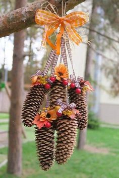 pine cone wreaths hanging from a tree branch with an orange bow on the top