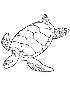 a turtle swimming in the ocean coloring page