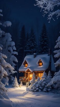 a cabin in the woods at night with snow on the ground and trees around it