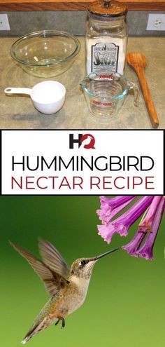 the hummingbird nectar recipe is ready to be eaten