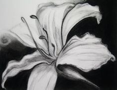 a black and white drawing of a flower