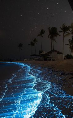 the beach is lit up with blue lights and palm trees in the background at night