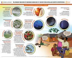 Relationship Indicators of Indigenous Knowledge of Weather… | Flickr Indigenous Infographic, Invasive Species Poster, Climaquest Forecasting Wind Shifts Charting Climate Features Poster Making, Factors Affecting Climate, Indigenous Studies, Indigenous Knowledge, Weather Forecasting, Indigenous Community