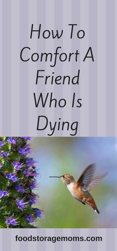 a hummingbird flying over purple flowers with the words how to comfort a friend who is dying