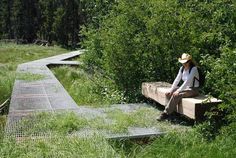 a person sitting on a bench in the middle of some tall grass and trees,