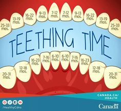 a poster with teeth and the words teething time written in blue on red background