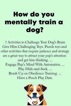 Interactive Brain Training to Keep Your Dog Happy Therapy Dog Training, Train A Dog, Dog Minding, Bored Dog, Therapy Animals, Dog Training Techniques, Best Dog Training, Interactive Dog Toys