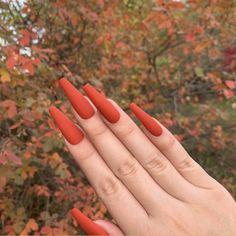 Get ready for the cozy vibes of early fall with these gorgeous nail designs! 🍂🍁 From warm neutrals to bold pops of color, these nails will have you feeling all the autumn feels. #EarlyFallNails #CozyVibes #AutumnFeels #NailInspo #FallMani #NailGoals #SeasonalNails #NailArt #FallColors #PumpkinSpiceEverything Pumpkin Spice Nails, Orange Nail Designs, Colorful Nails, Fall Acrylic Nails, Red Nail, Orange Nails