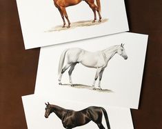 three different colored horses on white cards with brown edges and black tail, standing next to each other