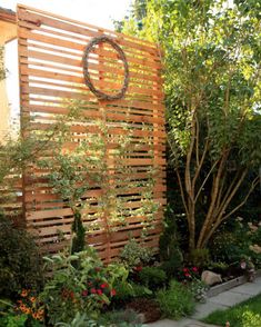 an outdoor garden with lots of plants and trees in the back yard, along with a wooden fence