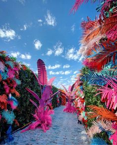 the walkway is lined with colorfully colored palm trees and flowers on either side of it