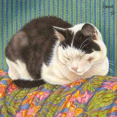 a black and white cat sleeping on top of a colorful bed sheet with its eyes closed