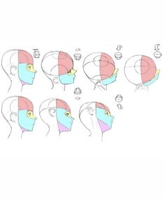 a drawing of the head with different colored sections and shapes in each part of it