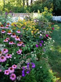 a garden filled with lots of different colored flowers