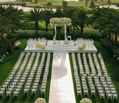 an outdoor ceremony setup with white chairs and floral centerpieces on the lawn, surrounded by palm trees