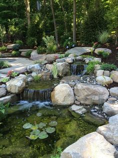 a small pond surrounded by rocks and water lilies