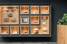 a display case filled with lots of different types of shoes on shelves next to a potted plant