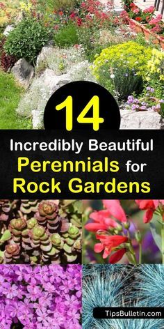 Rock Flower Beds, Ideas Terraza, Rockery Garden, River Rock Garden, Rock Bed, Tattoo Plant, River Rock Landscaping, Rock Garden Plants