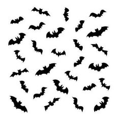 a bunch of bats flying in the air