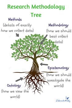 a tree with the roots labeled in different languages and words, which are used to describe each