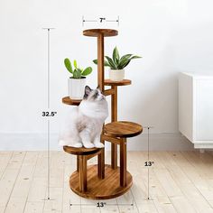 a white cat sitting on top of a wooden shelf next to a potted plant