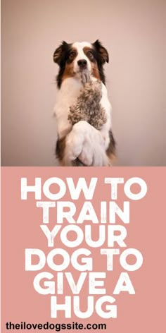 a dog holding a stuffed animal in its mouth with the words how to train your dog to give a hug