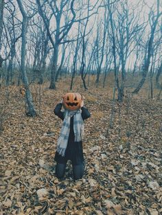 a scarecrow with a pumpkin on his head standing in the middle of a leaf covered forest