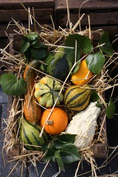 pumpkins, gourds and squash are arranged in a basket on the ground