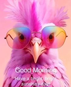 a pink bird with glasses on it's head and the words good morning have a bright, bright sunny day