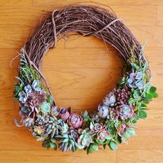 Emilee Grapevine Wreath Trimmed With Succulents. Succulent Wreaths, Succulent Wreath Diy, Diy Bridal Party, Living Wreath, Cactus Types, Succulent Wreath, Types Of Succulents, Flowers Bouquet Gift, Diy Bridal