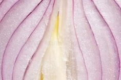 close up of onion skin - Google Search Onion Skin, Tulle Skirt, Close Up, Skin