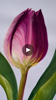 a painting of a pink tulip with green leaves on the bottom and white background