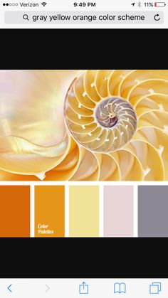 an orange and yellow color scheme with the shell in it's center is shown