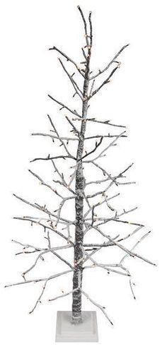 a small tree with no leaves is shown in front of a white background for display