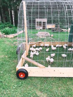 a chicken coop with chickens in it on the grass