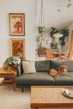 a dog laying on top of a couch in a living room next to a table