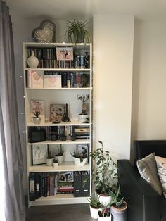 a living room filled with lots of books and plants